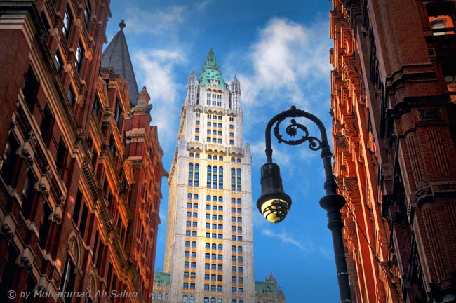 The Woolworth Building